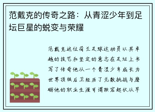 范戴克的传奇之路:从青涩少年到足坛巨星的蜕变与荣耀